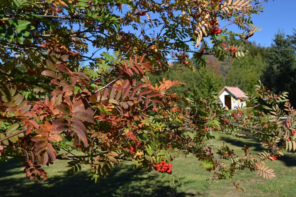 Hosteria Katy San Carlos de Bariloche Extérieur photo